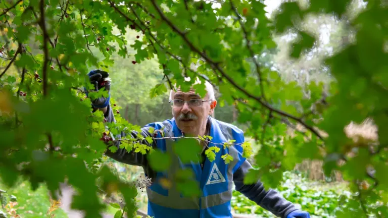 Ein Fachmann in Warnweste untersucht Pflanzen in einem natürlichen Lebensraum im Freien.