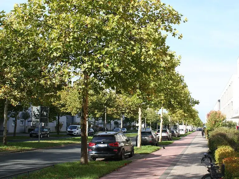 Erlangen: Autofahrer müssen fast sechs Wochen ausweichen