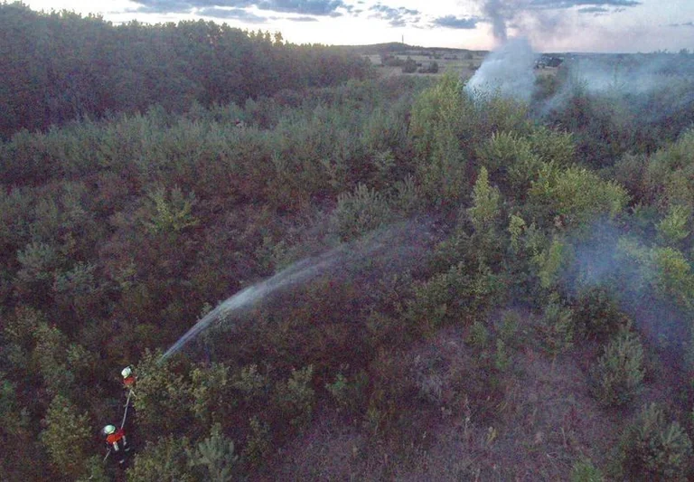 Erlangen: Warum im Wald jetzt höchste Vorsicht gilt