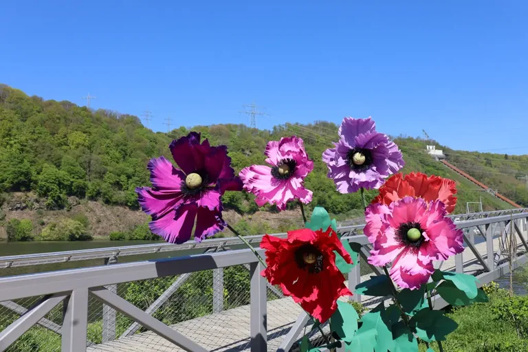 Hagen bringt drei besondere Orte in die Gartenschau