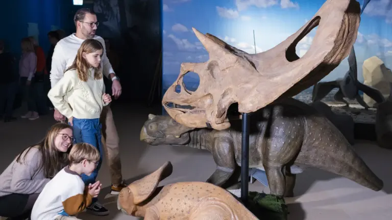 Saurier-Ausstellung in Mannheim: Eintritt für Kinder frei