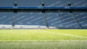 Die Faszination Sport: Wie sportliche Vielfalt unsere Gesellschaft bewegt