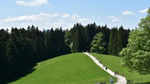 Ein gewundener Wanderweg führt durch eine grüne Hügellandschaft in den bayerischen Alpen.