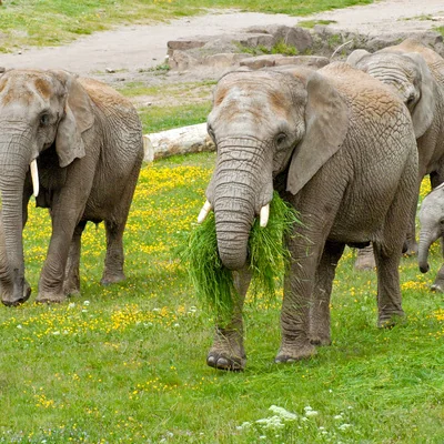 65 Jahre egapark: Erfurts ganzjährige Zeitreise