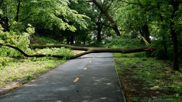Aachens Parks: Nach dem Sturm gilt weiter Vorsicht