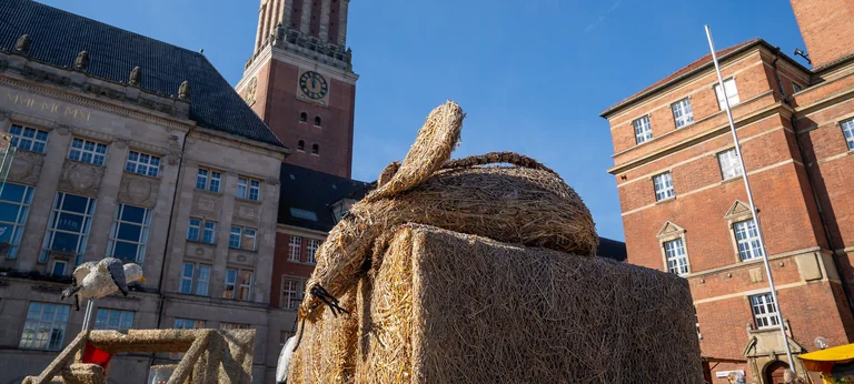 Bauern- und Regionalmarkt Kiel: Drei Tage, Eintritt frei