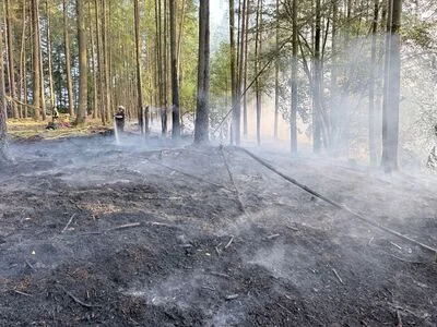 Feuer bei Ehrang gestoppt: Trierer Einsatz in schwierigem Gelände
