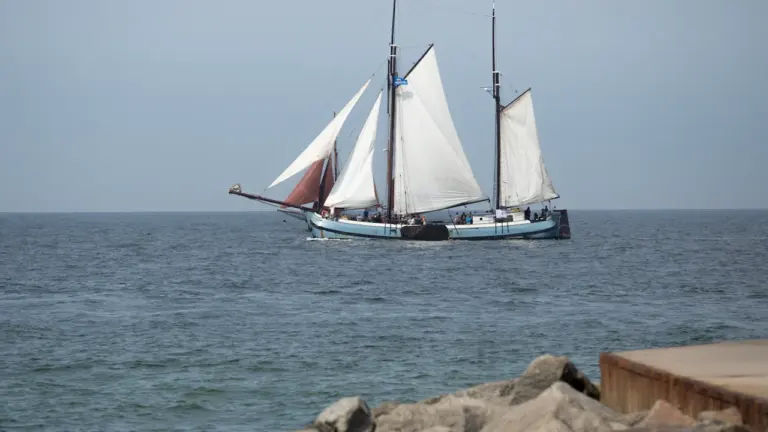 Hanse Sail 2026: Familien-Guide für Rostock und Warnemünde
