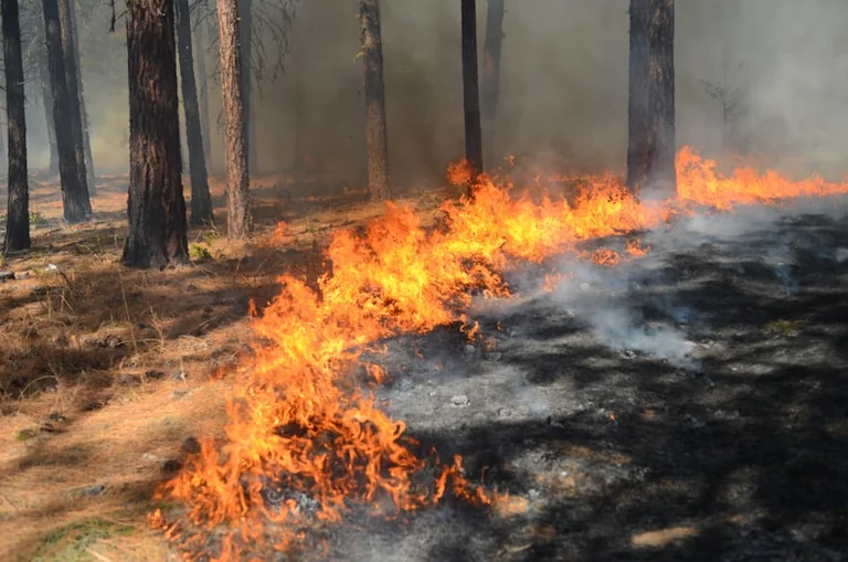 In Ohmenhausen greift Feuer auf trockene Wiese über