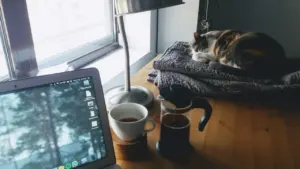 Ein Laptop steht auf einem Schreibtisch mit Kaffeebereiter, Schreibtischlampe und schlafender Katze.