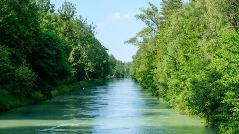 München am 8. August: Kultur, Isar und Biergarten