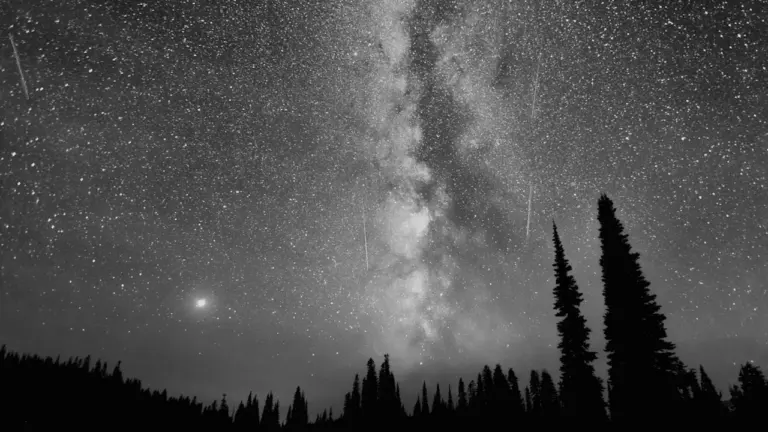Perseiden am 16. August: So lohnt sich der Blick nach oben