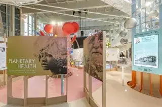 Planetary Health in München: Ausstellung am 14. August: key details