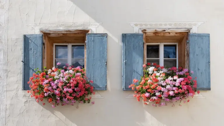 Geschlossene Fensterläden mit Blumenkästen an einer hellen Hausfassade an einem sonnigen Tag.