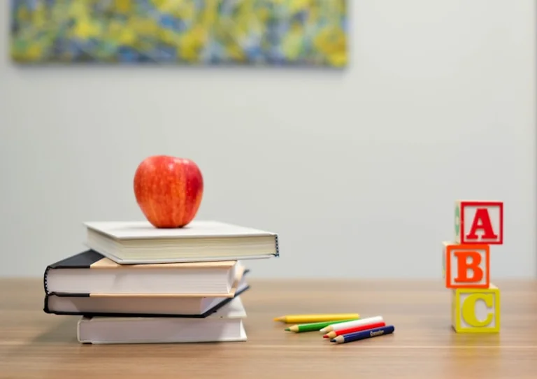 Schulstart am 24. August: Wochenendplan für Familien