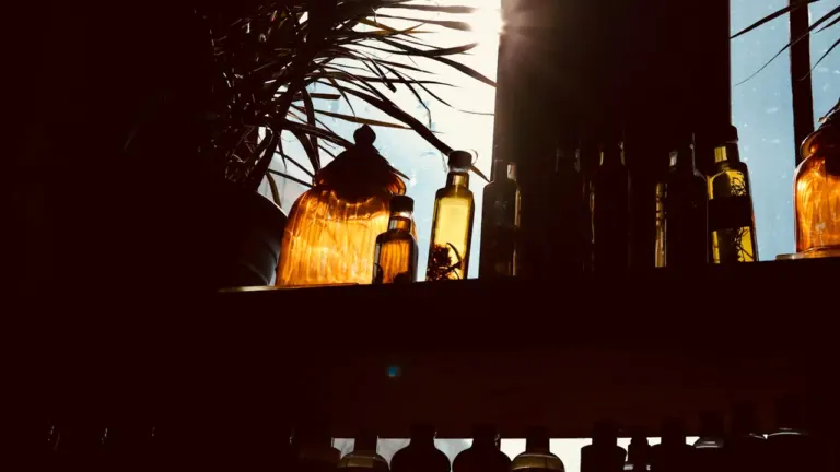 Gegenlichtaufnahme von Glasflaschen mit Kräuterölen in einer ruhigen, achtsamen Wohnatmosphäre im Sonnenlicht.