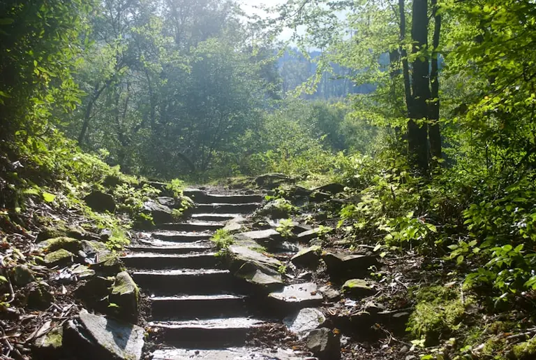 Wandern bei Wewelsburg: Kostenlose Führung am 21. August 2026