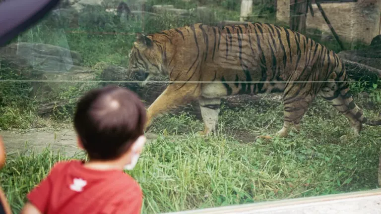 Wildpark Saarbrücken: Was Kinder ab 160 Euro erwartet