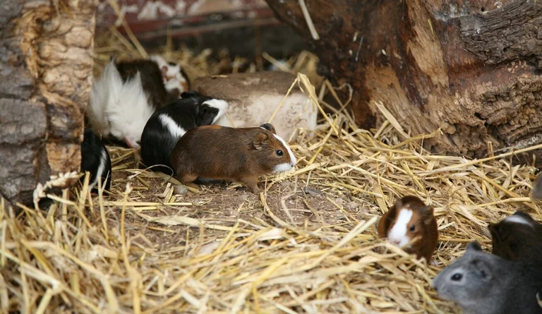 Zoo Vivarium in Darmstadt: Spezielle Lern-Führung für Schulanfänger