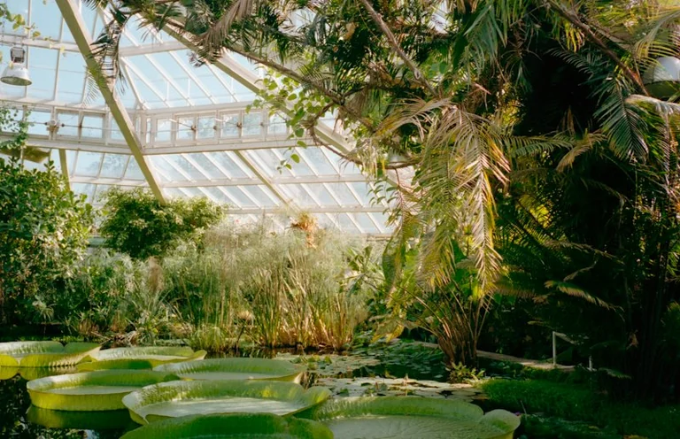 Alexander von Humboldt: Warum sein Naturdenken bis heute wirkt