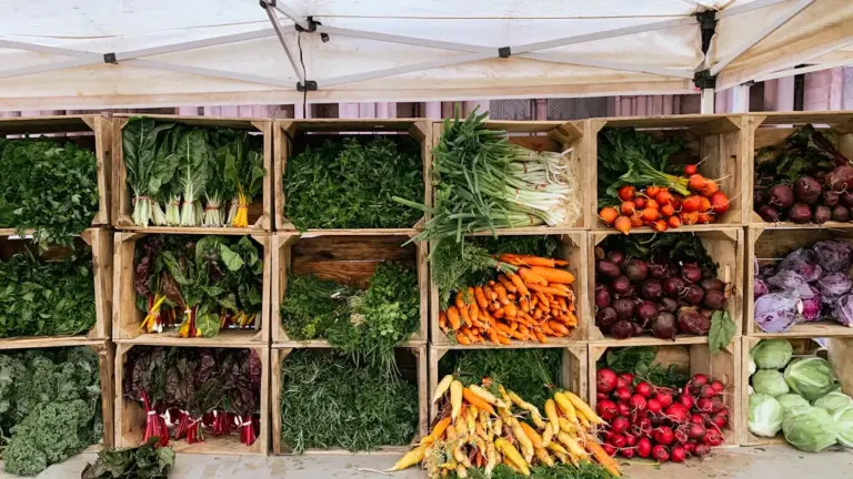 Frisches Gemüse in Holzkisten auf einem regionalen Bauernmarkt in Deutschland präsentiert.