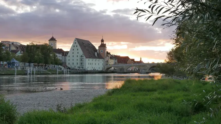 „Auf den Hund gekommen“: Führung am 6. Oktober in Regensburg