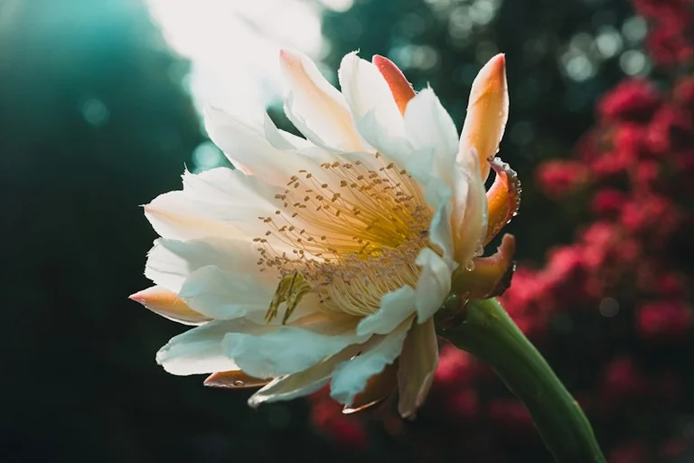 Horoskop für den 7. Oktober: Impulse für einen bewussten Tag